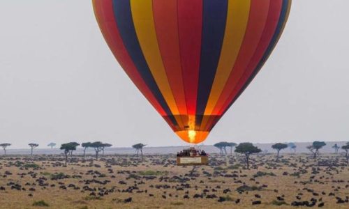 8 Days Samburu /aberdare / Lake Naivasha/ Masai Mara Safari Vacatio