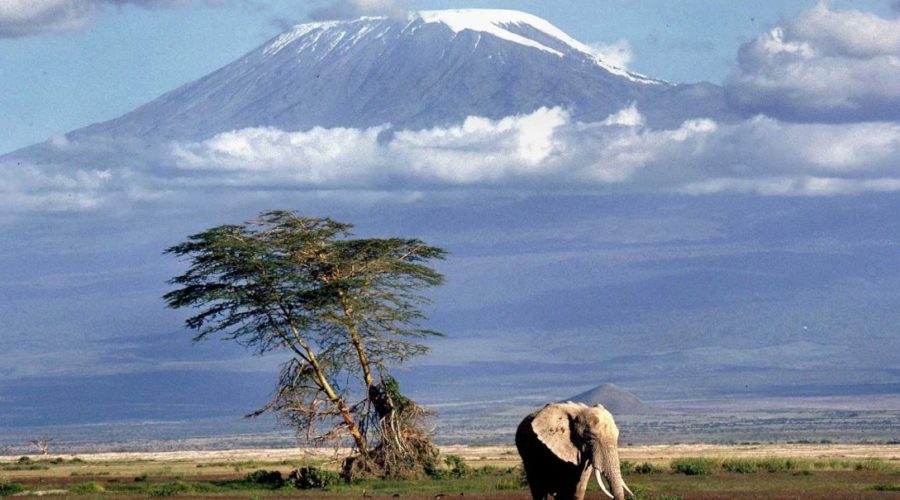 8 Days Mt Kilimanjaro Shira Route