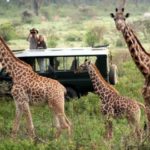 3 Days Masai Mara lodge safari