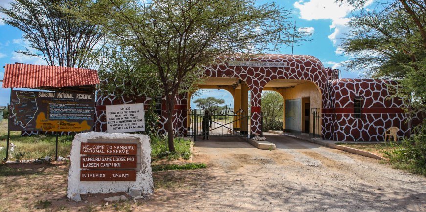 Kenya Budget Safaris