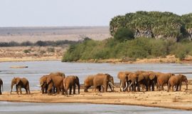 4 Days Nairobi Amboseli Tsavo East Mombasa Diani Watamu