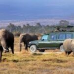 10 Days Kenya and Tanzania Safari