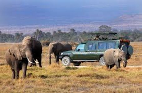 10 Days Kenya and Tanzania Safari