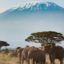 10 Days Kenya Big Five Classic Safari Adventure
