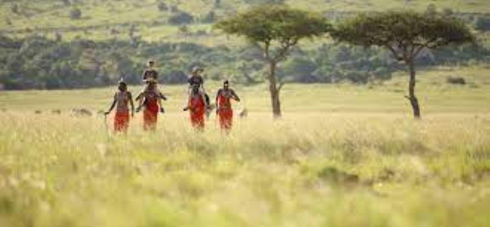 6 days masai mara walking safari