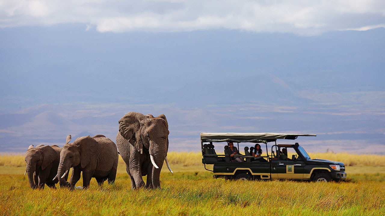 3 Days Masai Mara Private Safari Tour in 4×4 Jeep