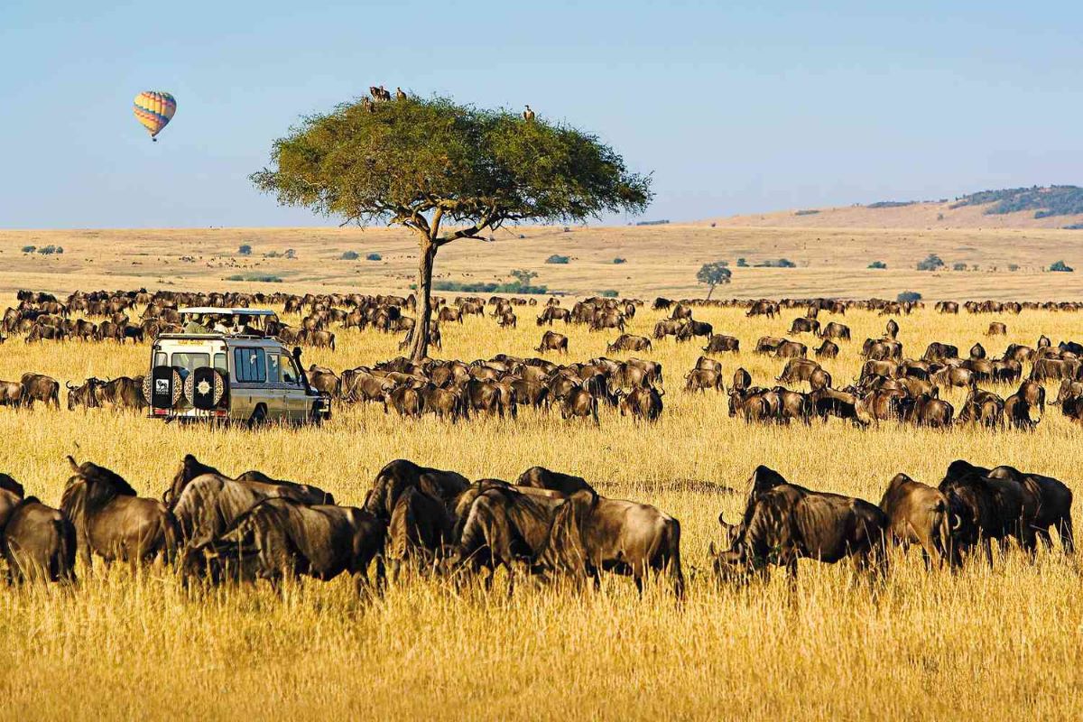 Maasai mara national reserve