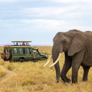 9 Days Kenya Classic Safari Adventure