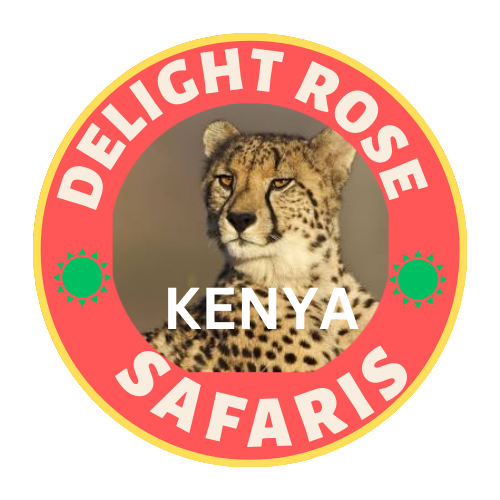 Delight Rose Safaris