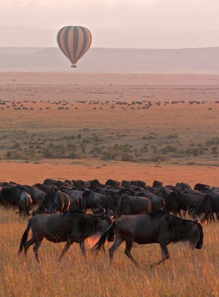 9 days Kenya classic safari
