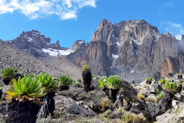 4 Days, 3 Nights Mt Kenya Climbing