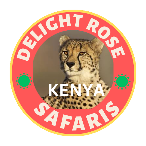 Delight Safaris Tours