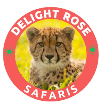 Delight Safaris Tours