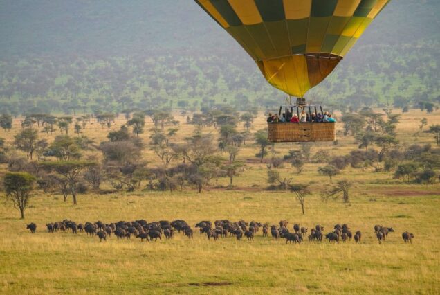 Masai Mara Hot Air Balloon Safari Tour