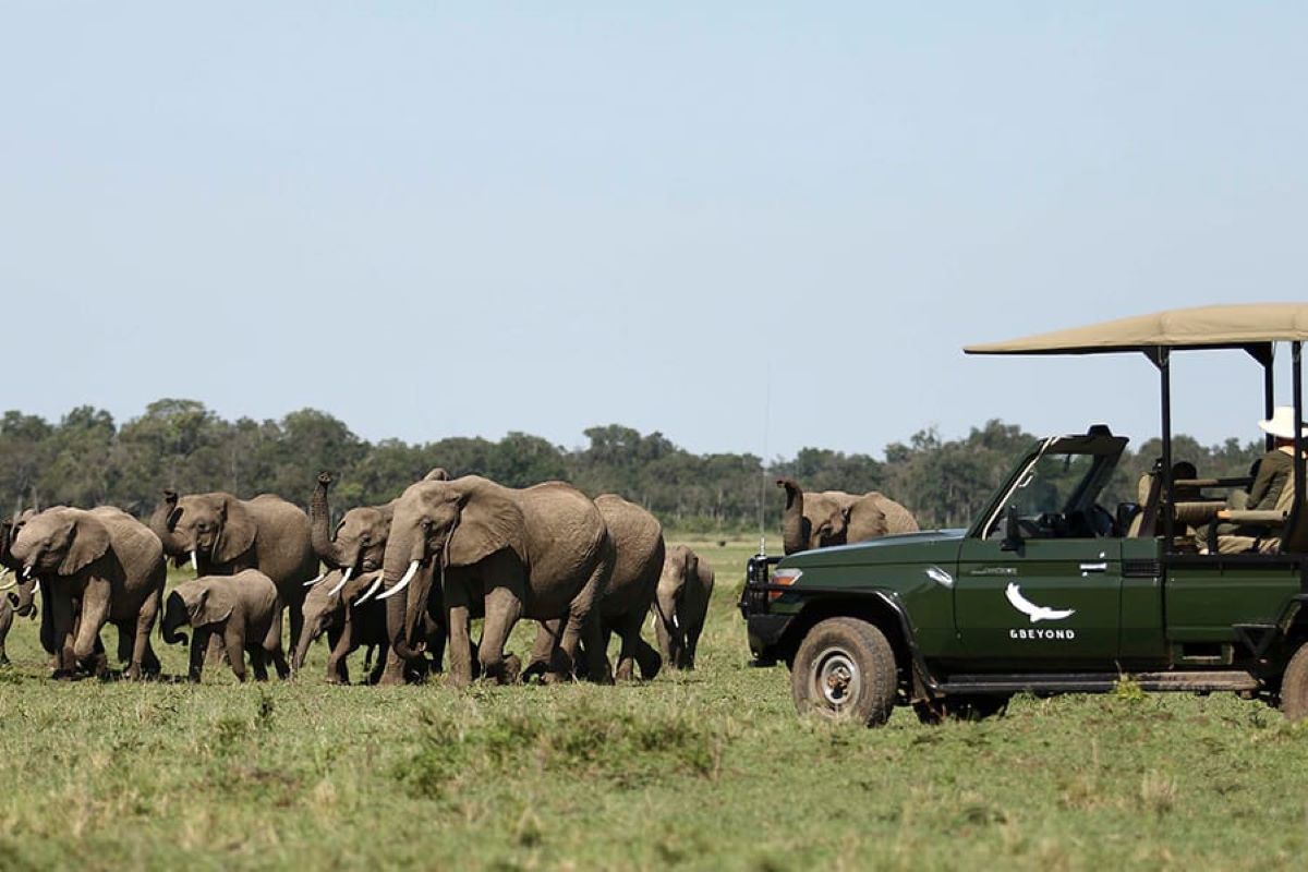 Best Time to Visit Maasai Mara