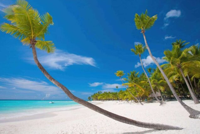 Zanzibar Paradise Island Safari Tour