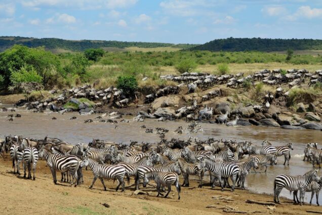4 Days & 3 Nights Masai Mara Lodge Tour