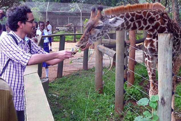 Nairobi City Tour – Animal Orphanage
