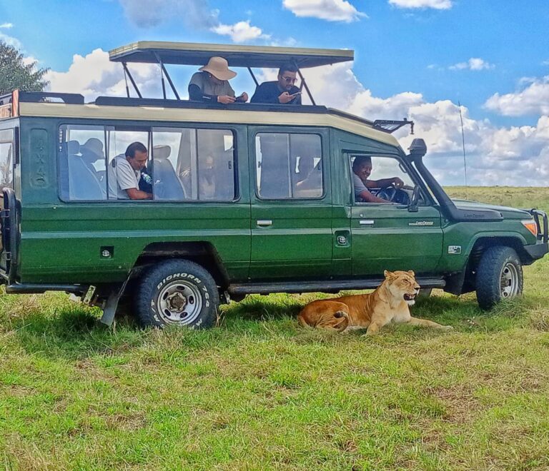 7 Unforgettable Experiences on a Half-Day