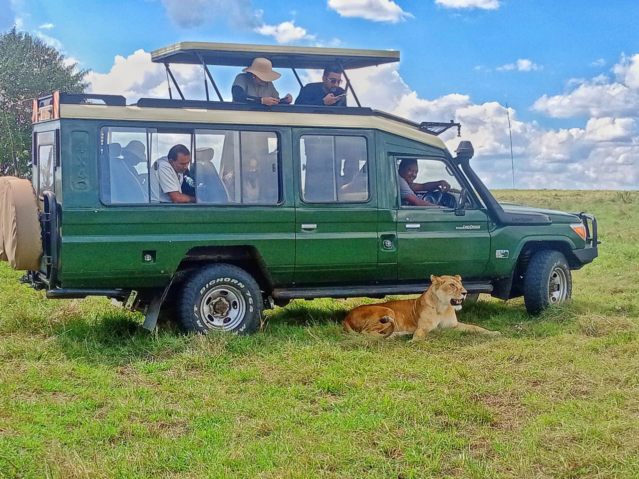 7 Unforgettable Experiences on a Half-Day