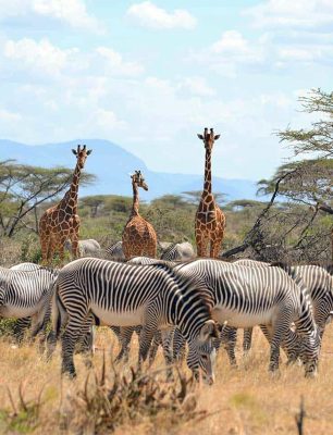 Samburu-3-Days